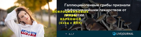 прущие грибы Армянск