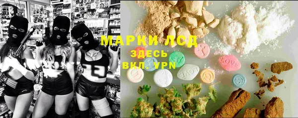 прущие грибы Армянск
