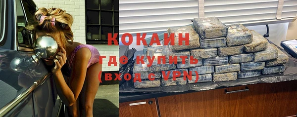 прущие грибы Армянск