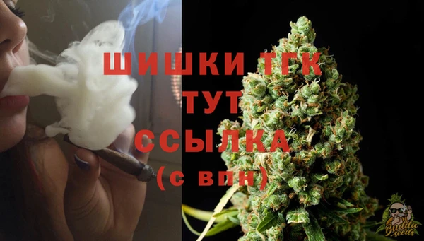тгк Аркадак