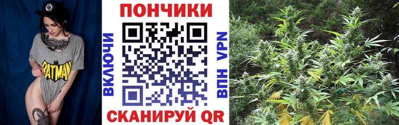 Каннабис ГИДРОПОН  купить   Курчалой 